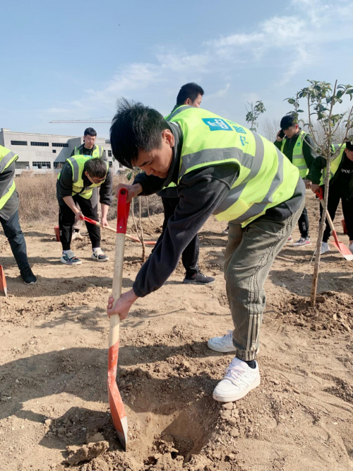 “植树节”多一片绿叶、多一份温馨